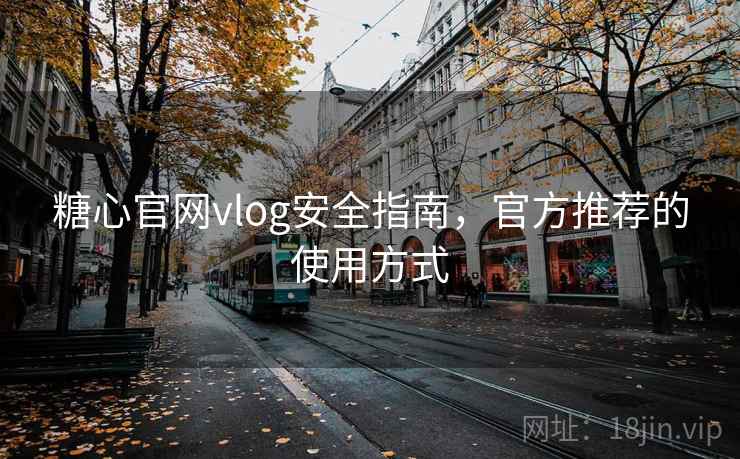 糖心官网vlog安全指南，官方推荐的使用方式