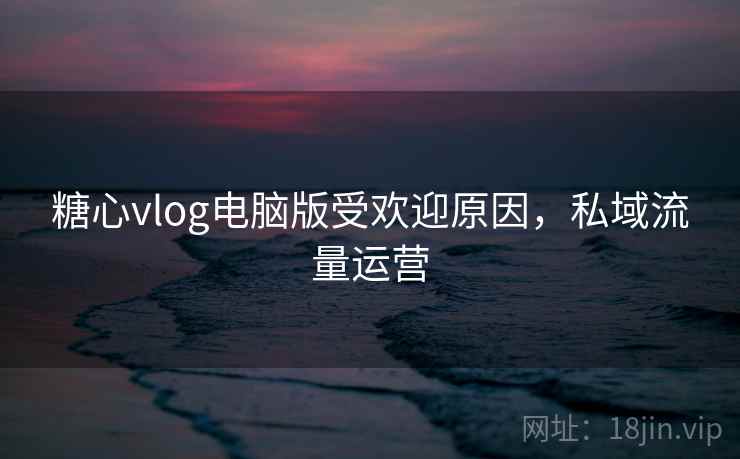 糖心vlog电脑版受欢迎原因,私域流量运营