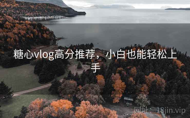 糖心vlog高分推荐,小白也能轻松上手